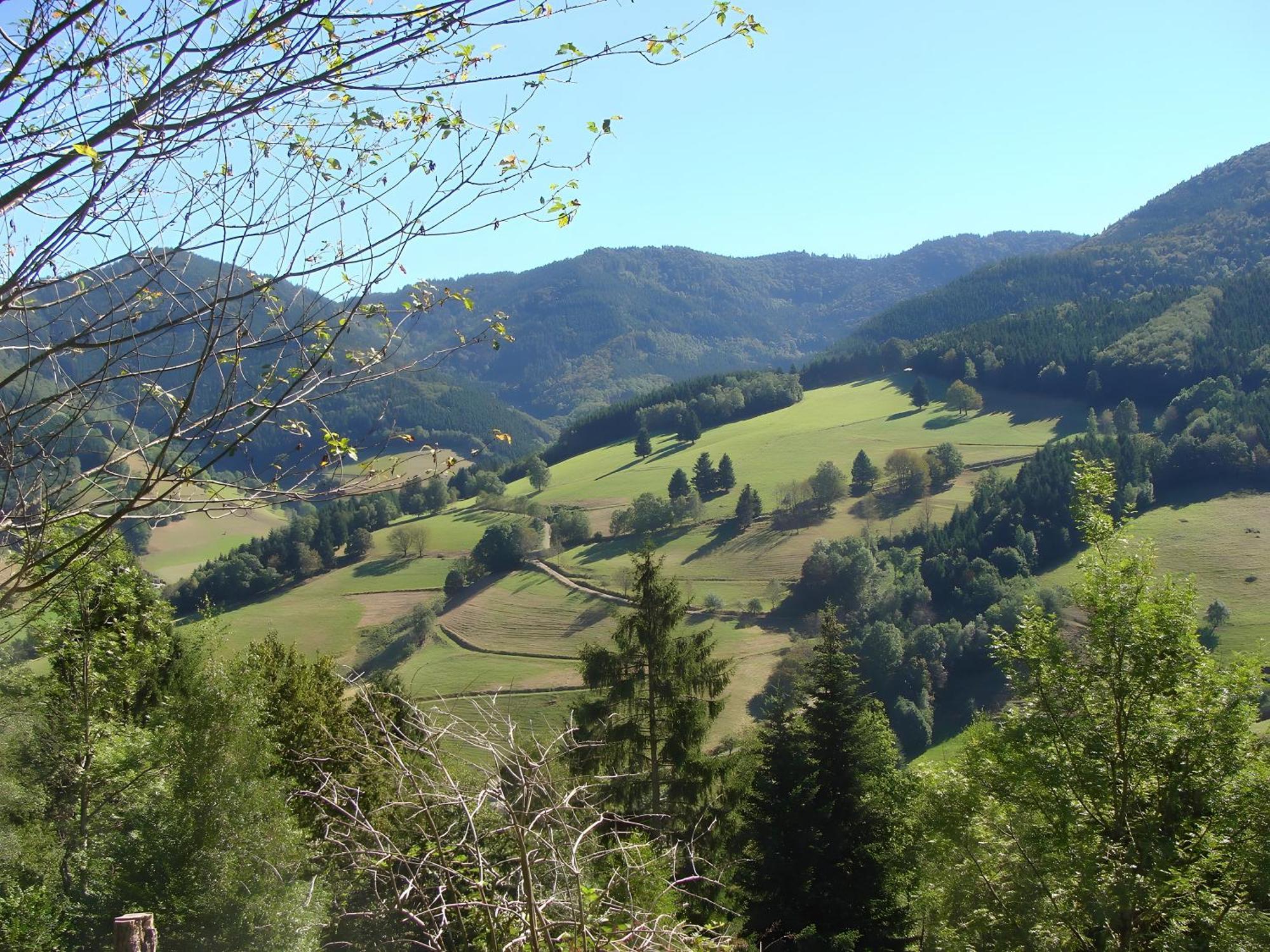 Blackforest Ferienwohnung St. Georgen im Schwarzwald Eksteriør bilde